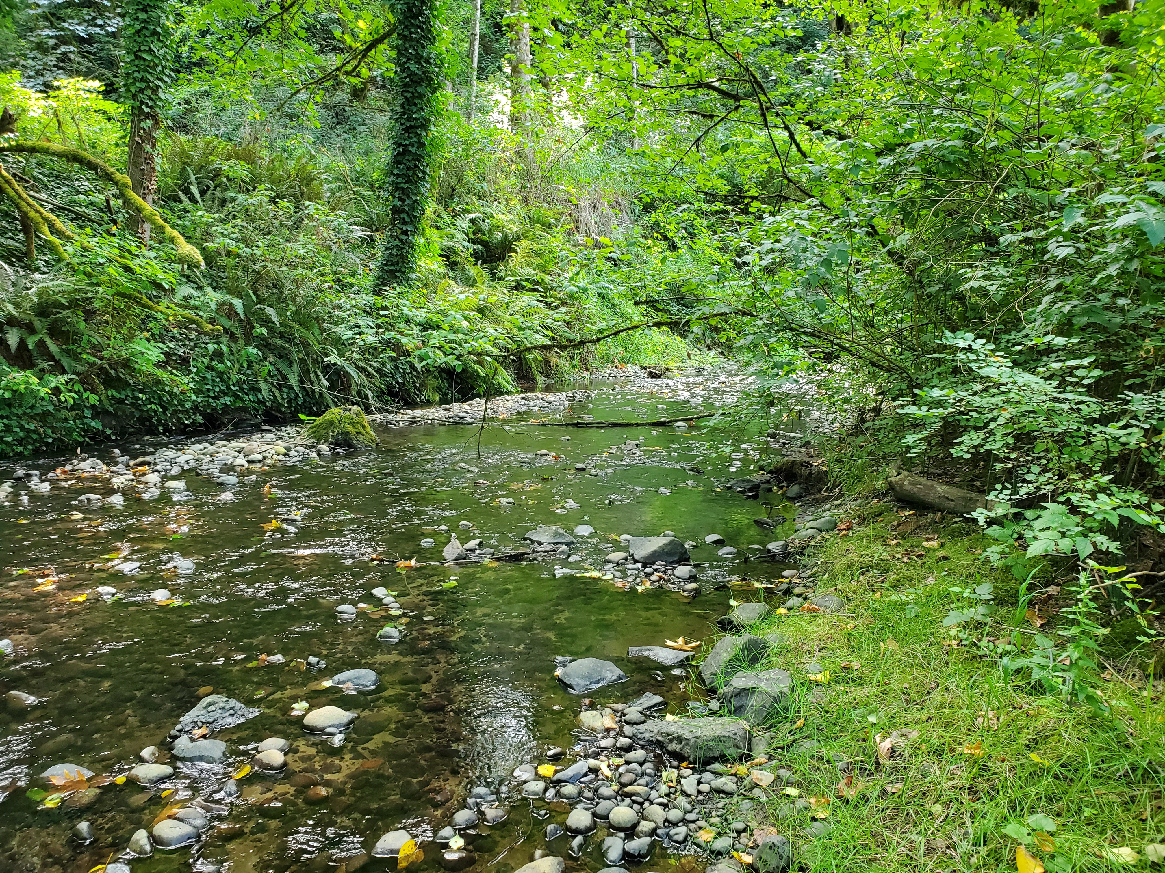 May-Creek.jpg