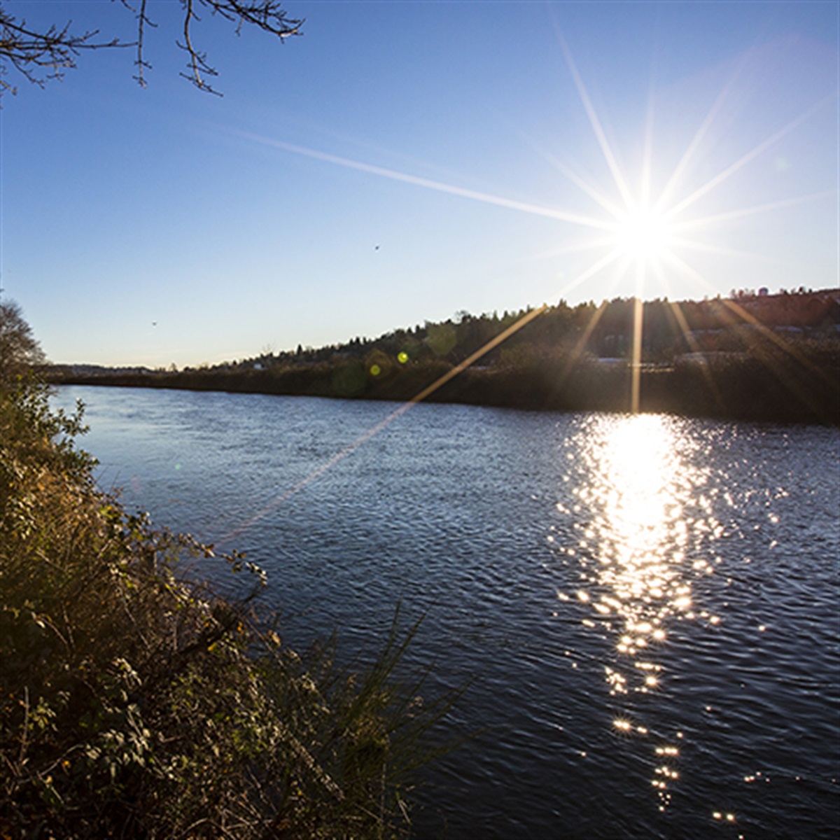 Human Resources and Risk Management | City of Renton