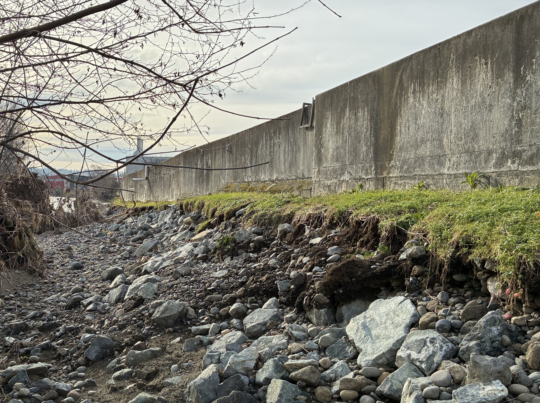 PHOTO pounded at walls base showing disturbed and eroded river bank
